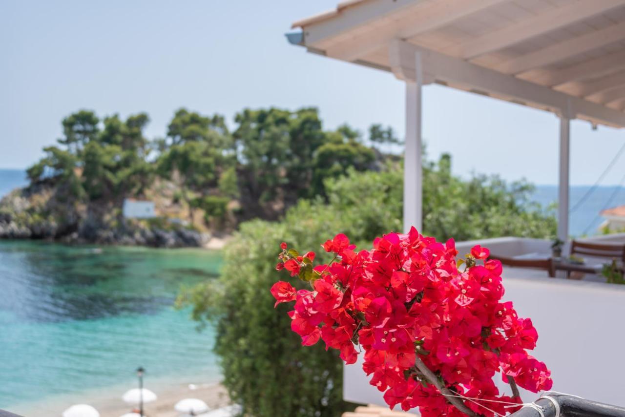 Krioneri * Parga